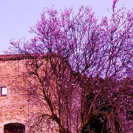 Ferienwohnung El Castell De Seguero Beuda Exterior foto