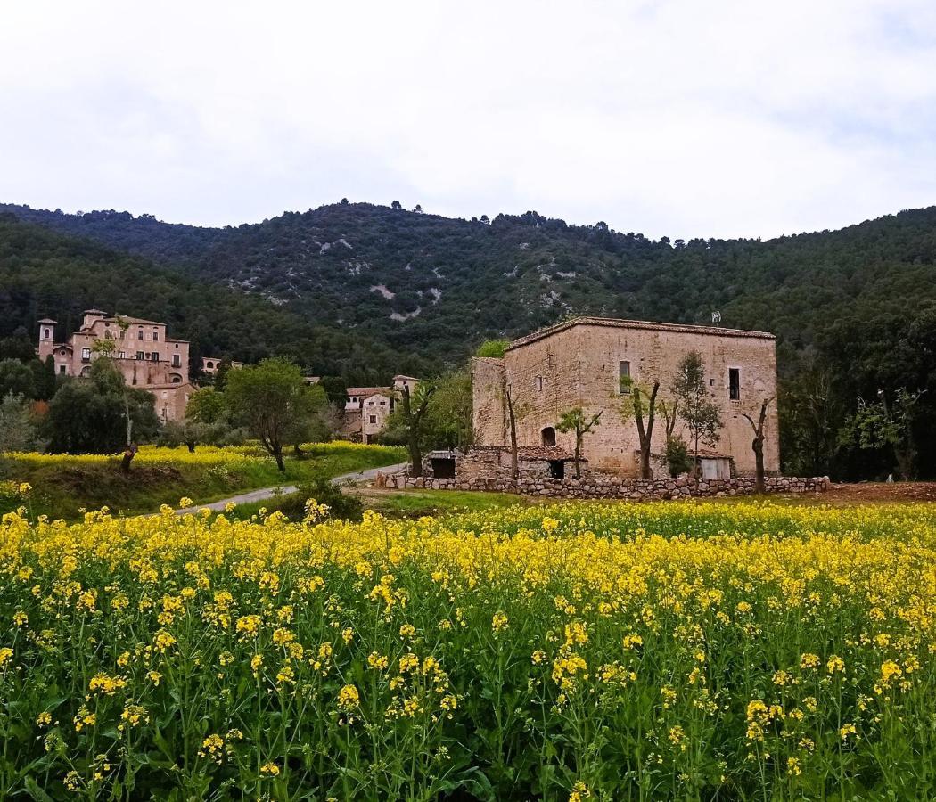 Ferienwohnung El Castell De Seguero Beuda Exterior foto