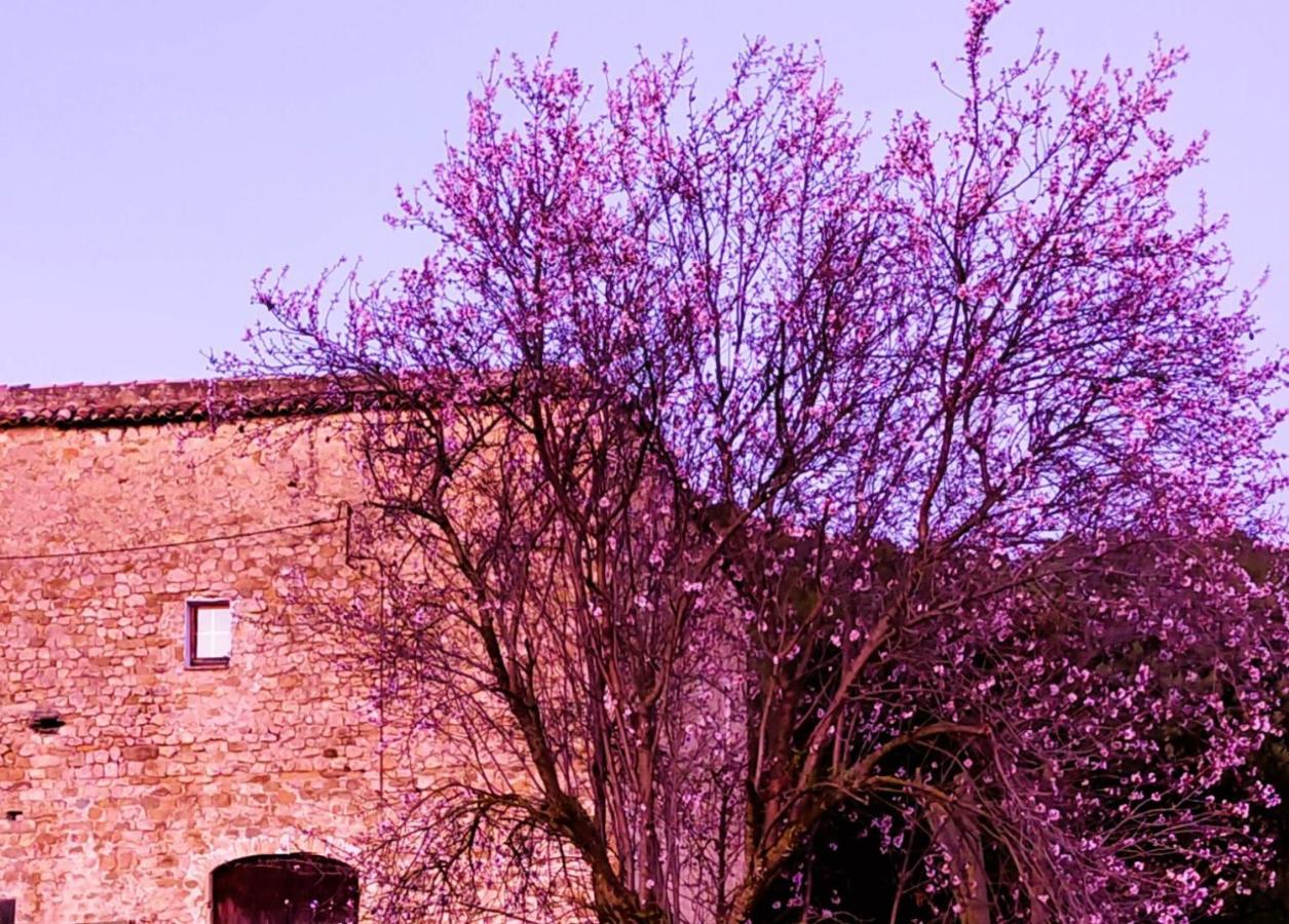 Ferienwohnung El Castell De Seguero Beuda Exterior foto