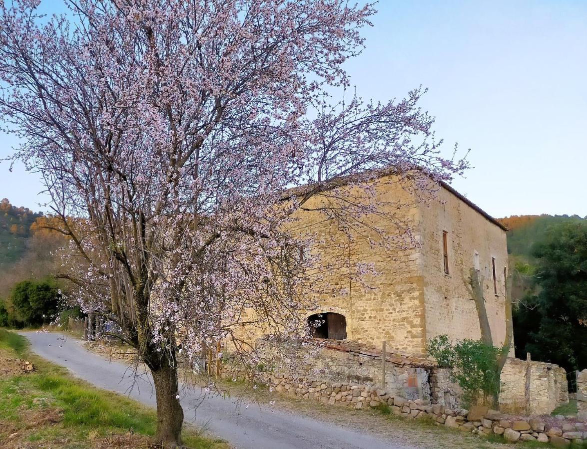 Ferienwohnung El Castell De Seguero Beuda Exterior foto